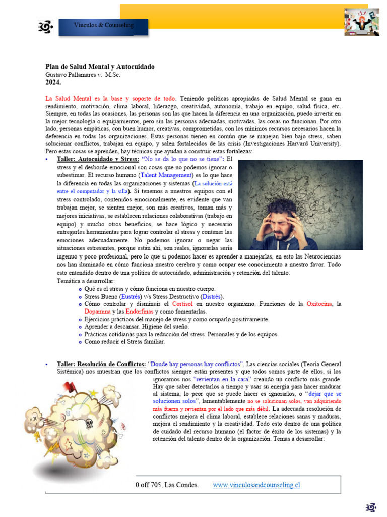 2024 Plan Salud Mental | PDF | Estrés (biología) | Las emociones