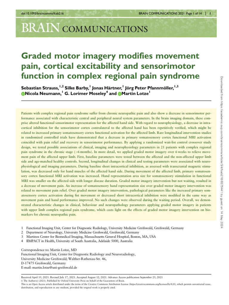 Graded Motor Imagery Modifies Movement Pain, Cortical Excitability and