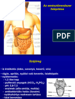 Tápcsatorna Emésztési Rendelleneségek Anabolizmus Katabolizmus