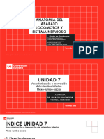 Unidad 7  Vascularización e Inervación Del Miembro Inferior. Plexolumbo-sacro