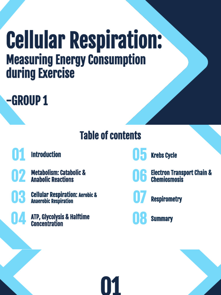 Cellular Respiration and Energy Use in Exercise | PDF | Cellular ...