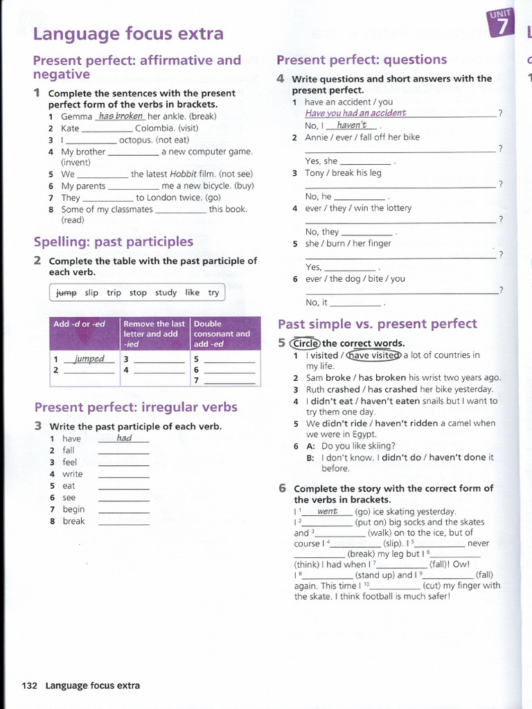Language Focus Extra | PDF