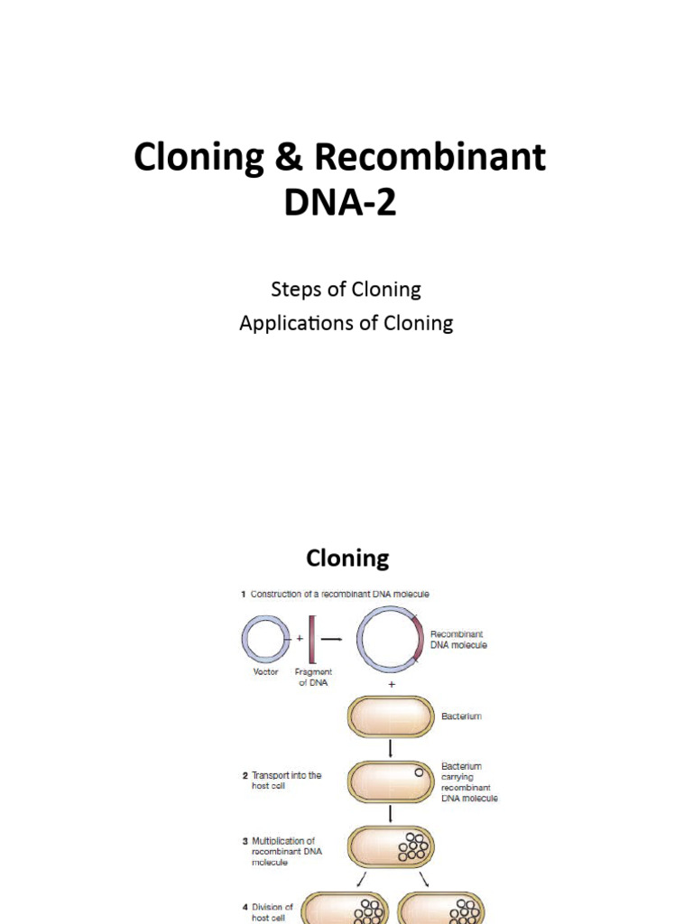 Lec-6 Cloning & RDNA-2 & CDNA | PDF | Complementary Dna | Molecular Cloning
