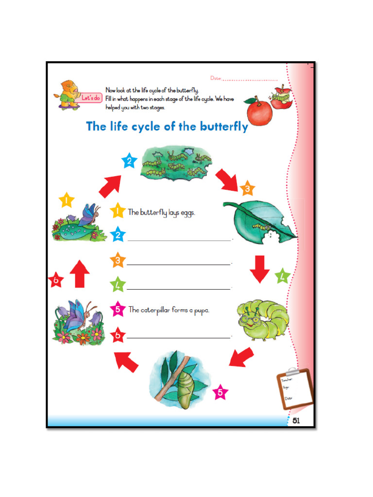 FP Grade 3 English Life Skills Activity Term 2 Week 7 | PDF