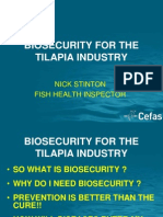 Biosecurity For The Tilapia Industry: Nick Stinton Fish Health Inspector