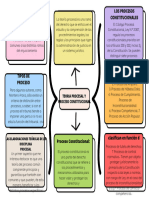 Mapa Conceptual  Teoria Procesal Constitucional (1)