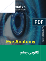 آناتومی-چشم
