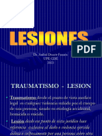 19- Lesion Resumen