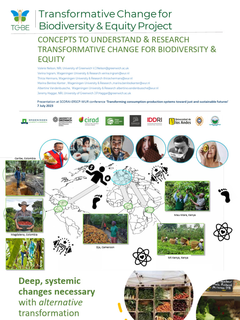 Concepts To Understand & Research Transformative Change For ...