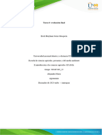 Anexo 1 - Plantilla para El Desarrollo de La Tarea 6