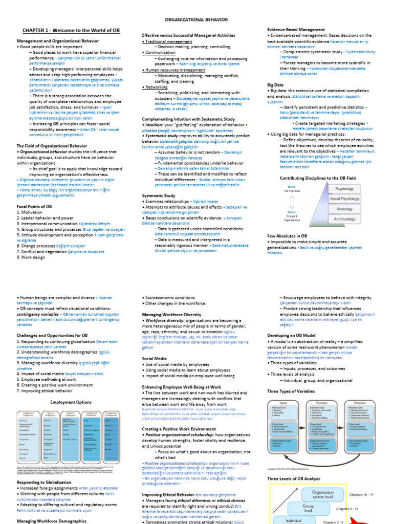 Organizational Behavior Pdf