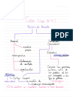 10 De Septiembre  - 20190910_132229