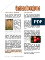 4a Garden Newsletter Gabrielle Johnson
