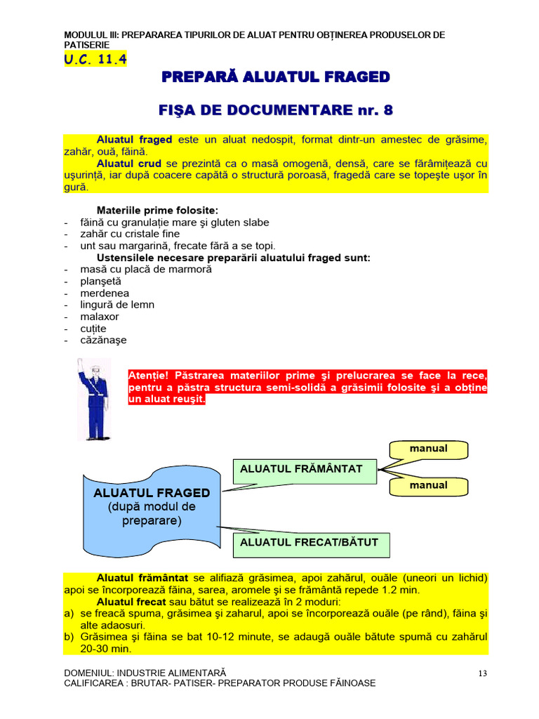 Modul 2 - Aluatul Fraged - FD 9 | PDF