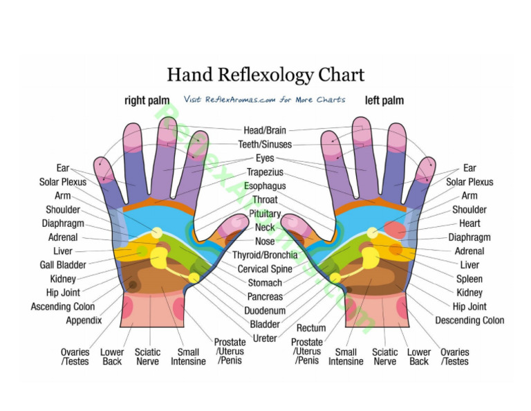 Hand Reflexology | PDF
