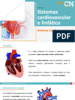 Sistema Cardiovascular - 9º Ano