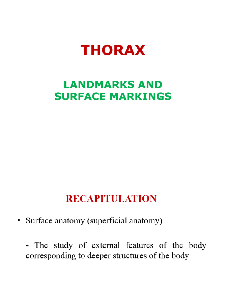 Land Marks and Surface Marking of Thorax 2019-2020 | PDF