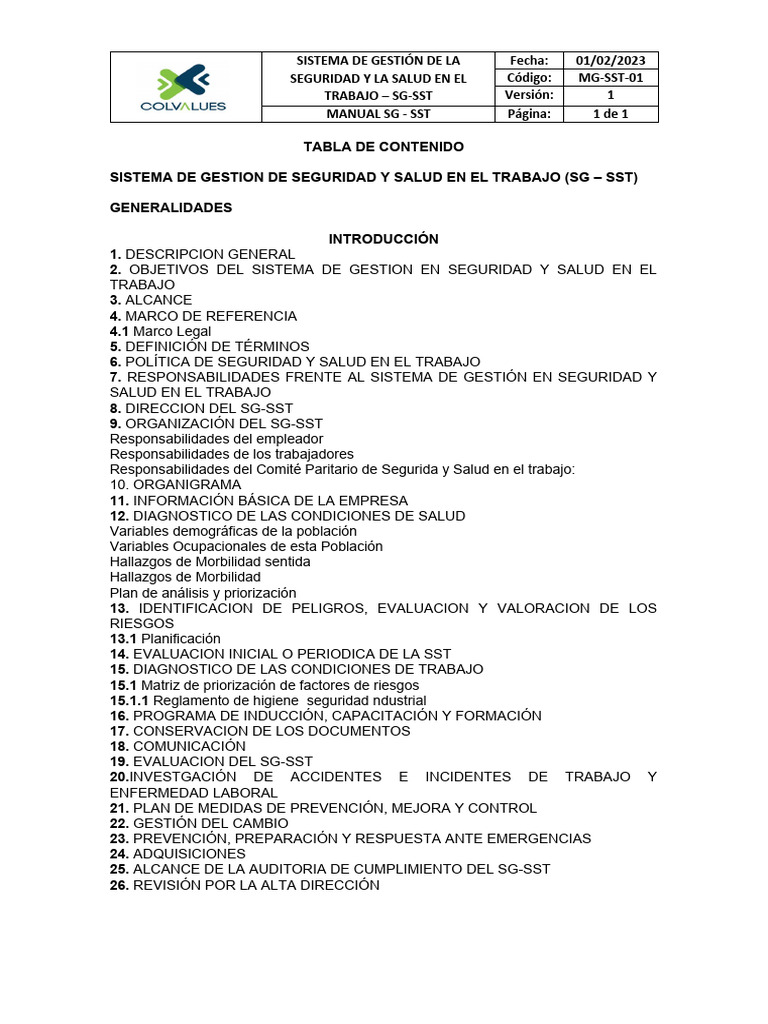 Manual De Sg Sst Descargar Gratis Pdf Seguridad Y Salud Ocupacional