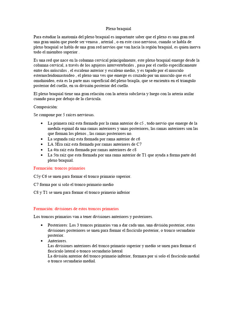 Plexo Braquial Pdf Anatomía Sistema Musculoesquelético