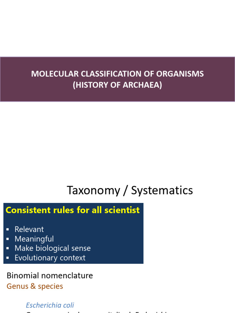 Molecular Classification of Archaea | PDF | Ribosomal Rna | Archaea