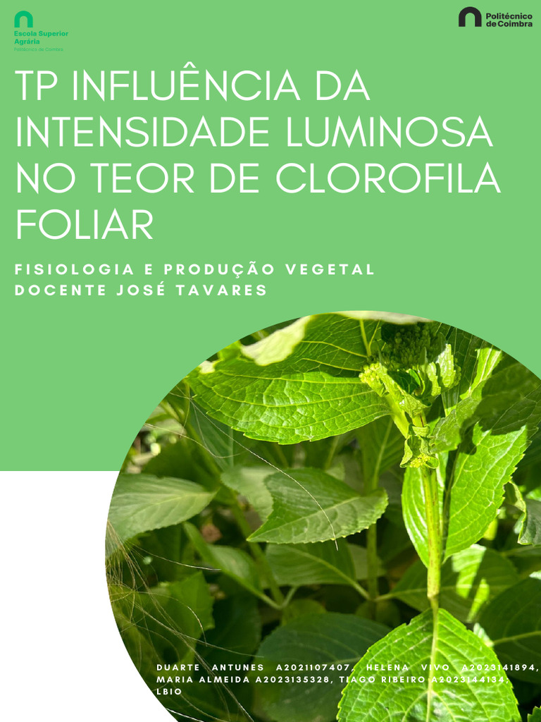 Intensidade Luminosa e Teor de Clorofila | PDF | Clorofila | Fotossíntese