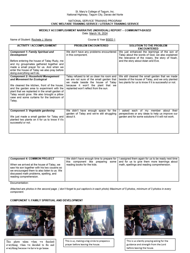 Community Service Weekly Report | PDF