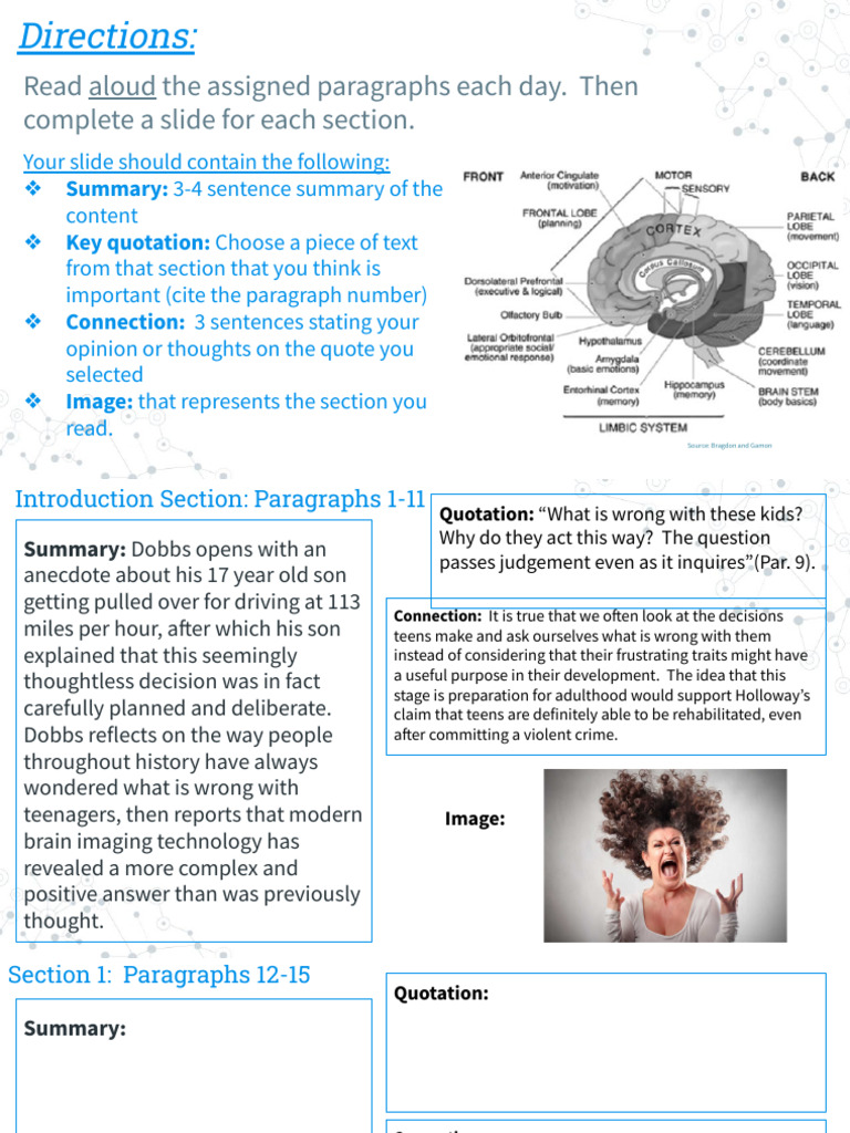 Beautiful Brains Day 1 Pdf