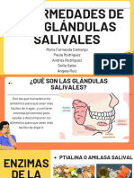 Enfermedades de Las Glandulas Salivales