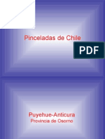 PinceladasdeChile2