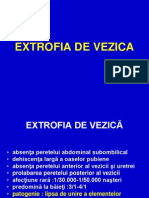 EXTROFIA DE VEZICA