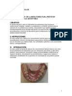 106187893-Procedimientos-de-Laboratorio-Para-Protesis-Dental-Parcial-Removible
