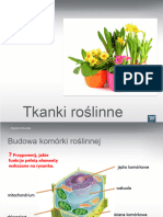 Tkanki Roslinne Prezentacja Multimedialna