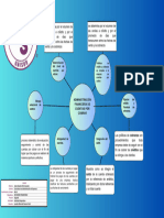 Mapa Conceptual Administración Financiera