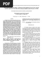 Download perkebunan_jurnal_112010 by Indah Widyastuti SN73257216 doc pdf