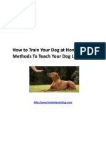 How To Train Your Dog at Home - Easy Methods To Teach Your Dog Like A Pro