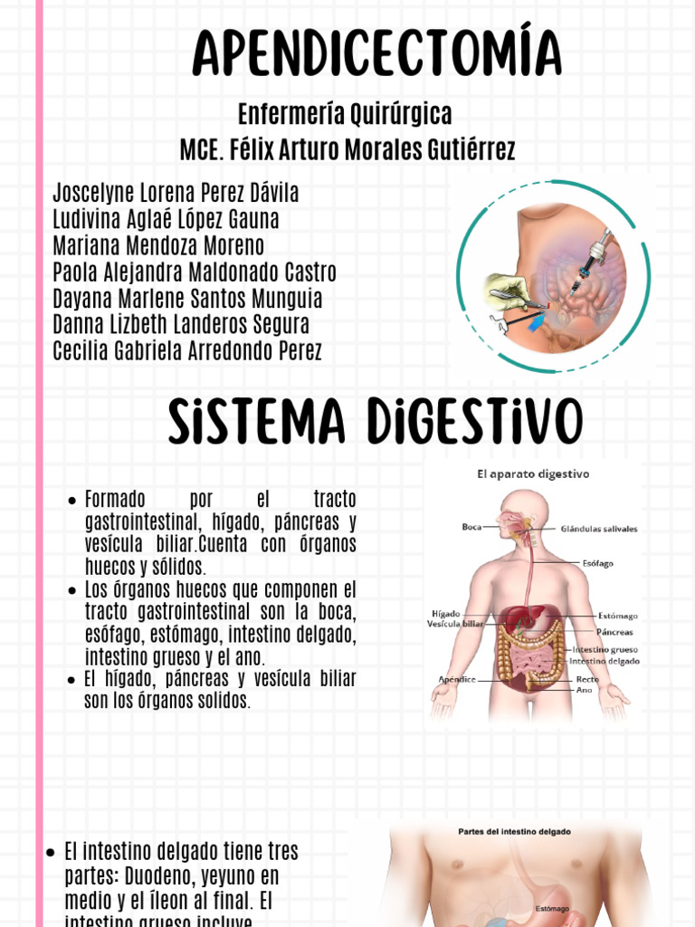 Apendicectomía: Procedimientos y Cuidados | PDF | Tracto ...