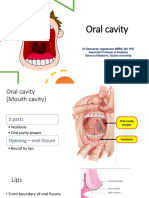 SVN - Oral cavity_240505_104726