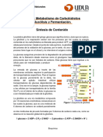 Síntesis CLASE 10 - 2023-20