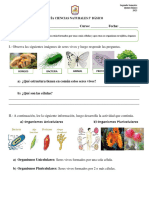 Guía de aprendizaje  5° Célula y niveles de organización