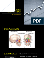 RX Senos Paranasales