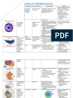Organelos Membranosos