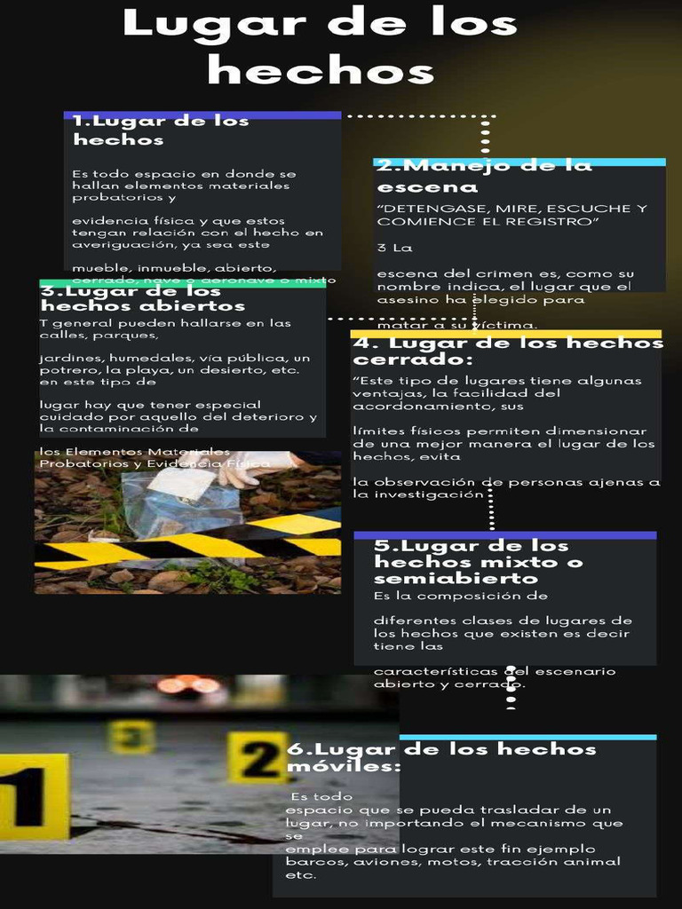 Infografía Lugar de Los Hechos | PDF