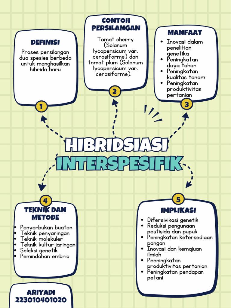 White and Colorful Playful Mind Map Brainstorm A4 Document | PDF