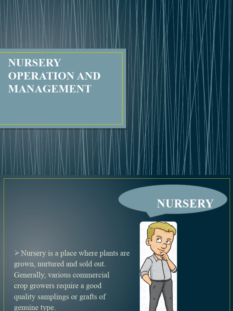 Nursery Operation and Management Guide | PDF | Plant Nursery | Sowing
