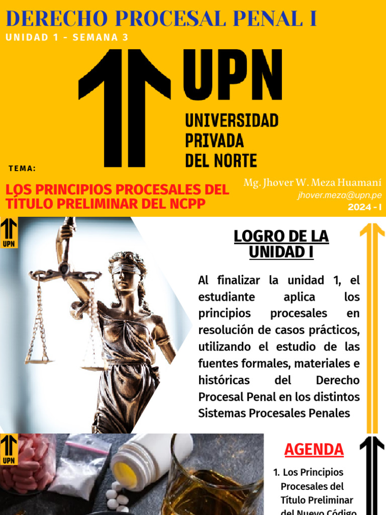 Principios del Derecho Procesal Penal | PDF | Debido al proceso | Ley ...