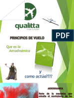 PRINCIPIOS DE VUELO (2)