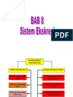 Bab 8 Sistem Ekskresi