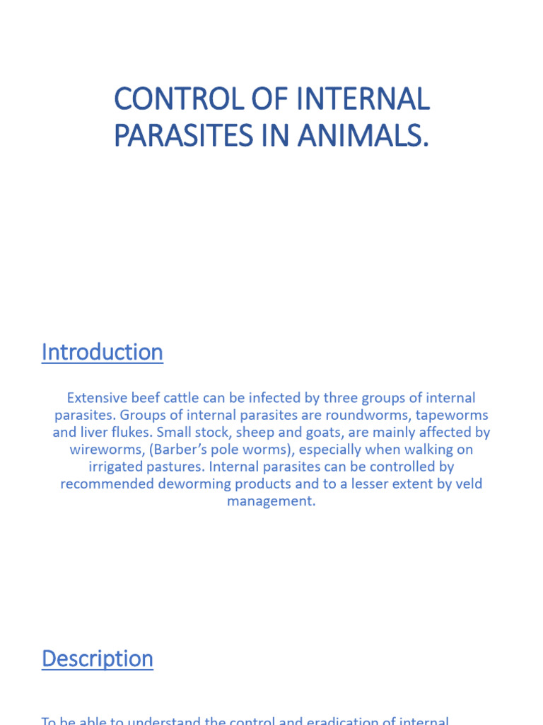 Visual Reference: Control Of Internal Parasites Download Free Pdf Parasitism