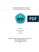 Anggi Dwi Rahmawati - A42221187 - B - TPP
