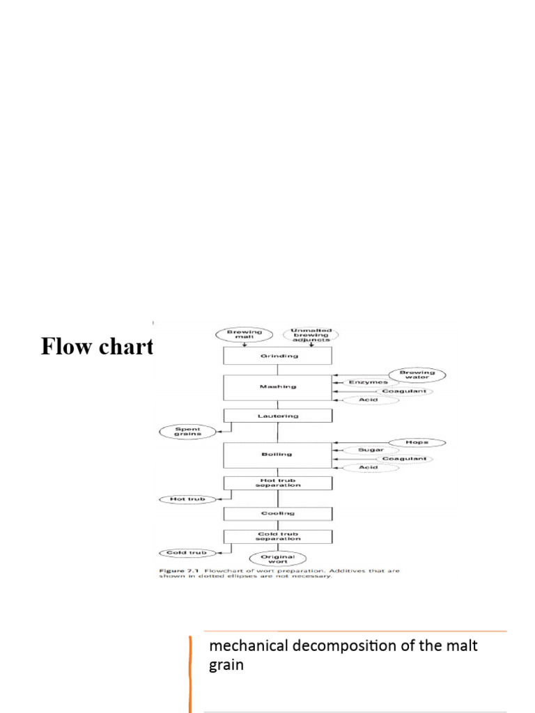 Malt Processing: Grinding to Mashing Techniques | PDF | Malt | Brewing
